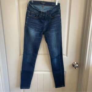 Judy Blue Indigo Skinny Jeans